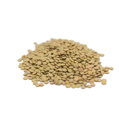 Gresam Gourmet Grüne Linsen