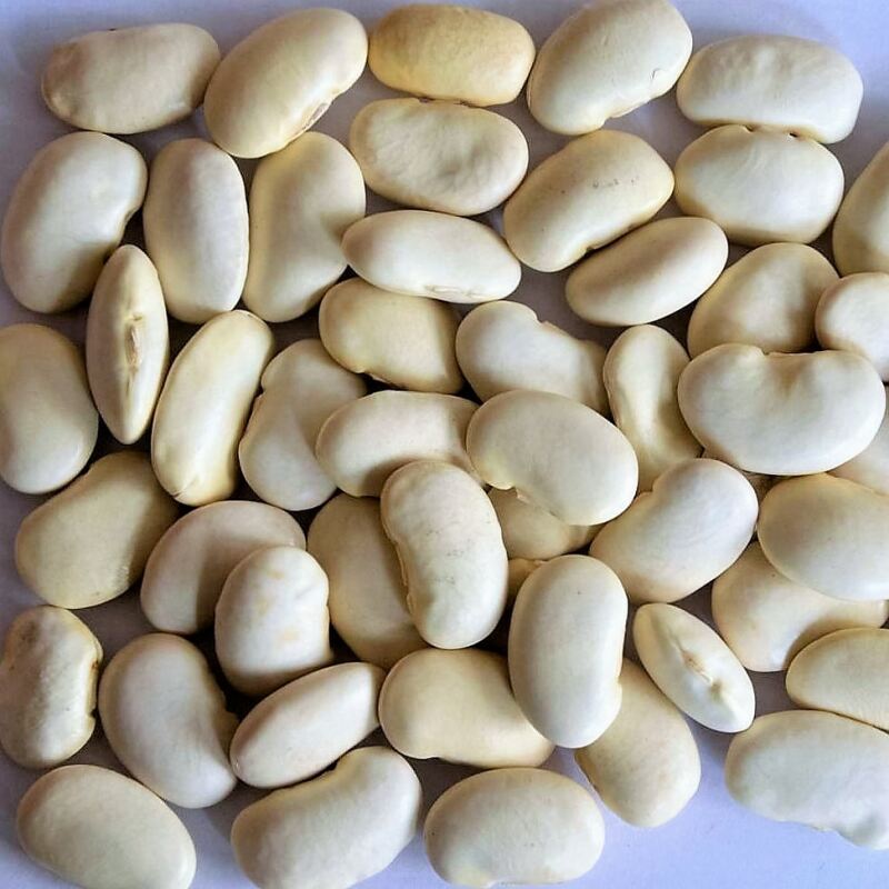 Gresam Gourmet Weisse Riesenbohnen-Peru