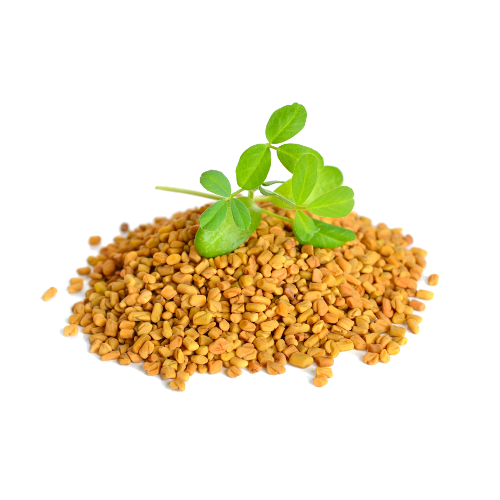 Abido Spices Bockshornklee Ganz