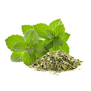 Abido Spices Minze getrocknet