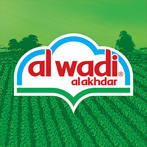 Al Wadi